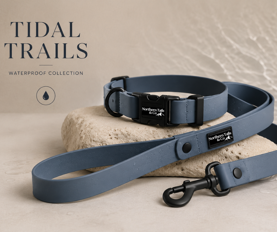 Tidal Trails