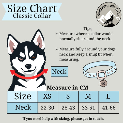 Classic Collar | Wilder Tails - Northern Wilderness